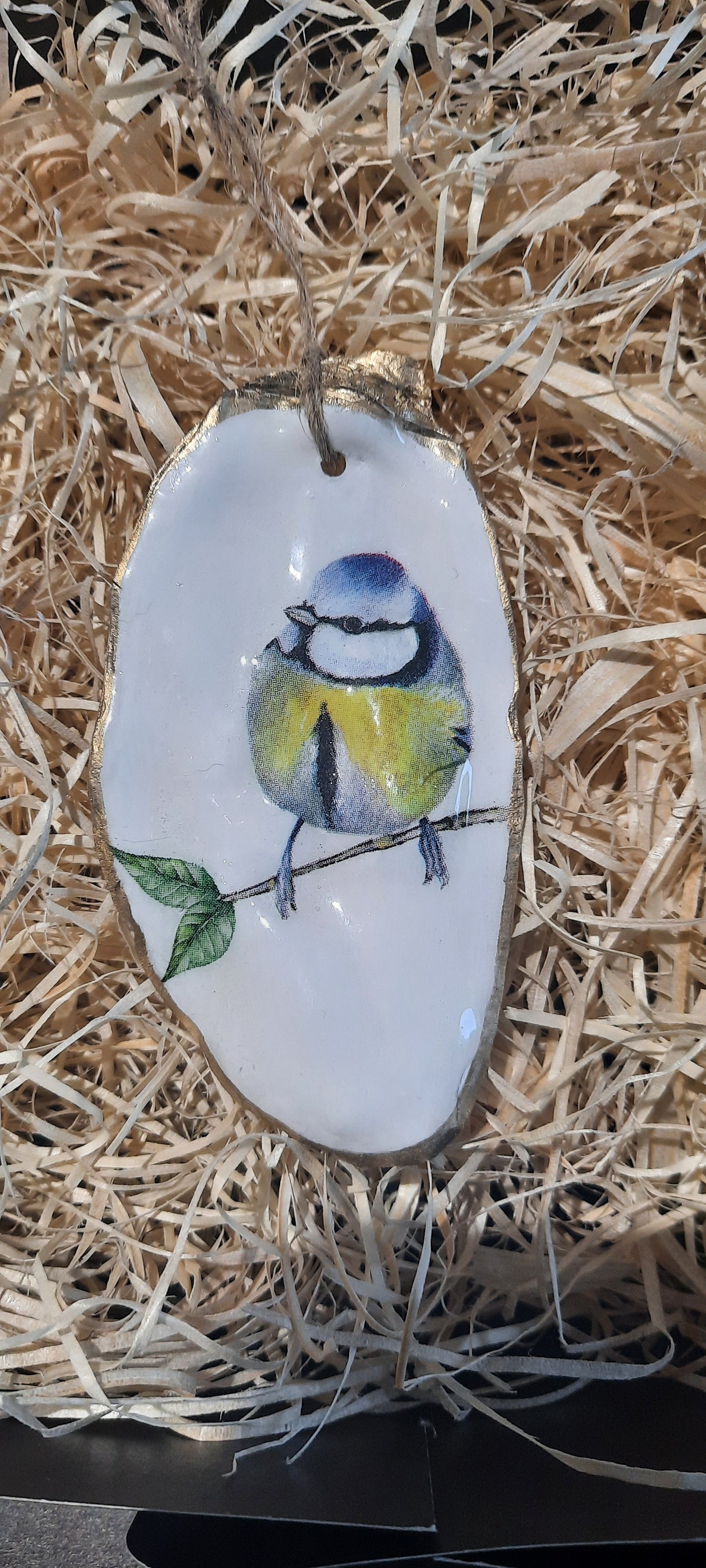 Blue Tit Design Oyster Flat