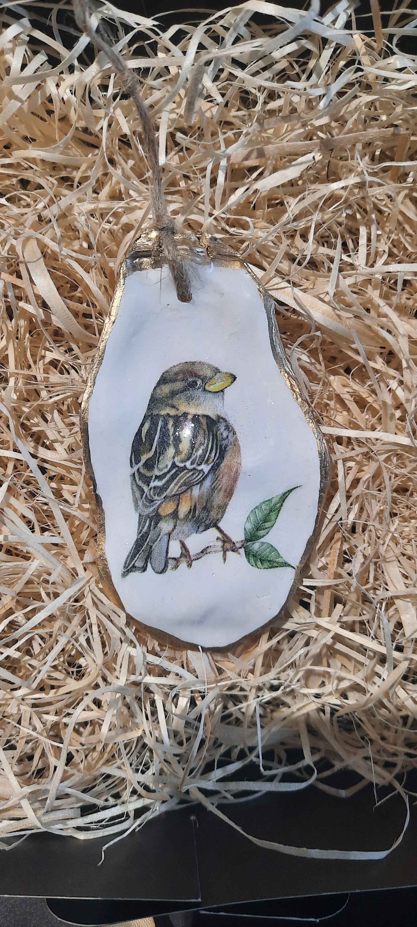 Sparrow design Oyster Flat