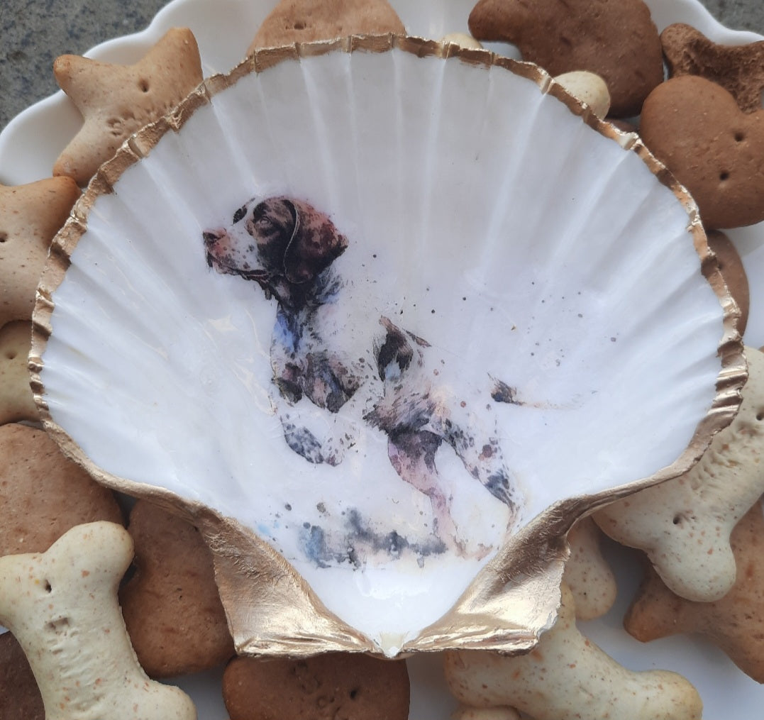 Pointer design Scallop shell