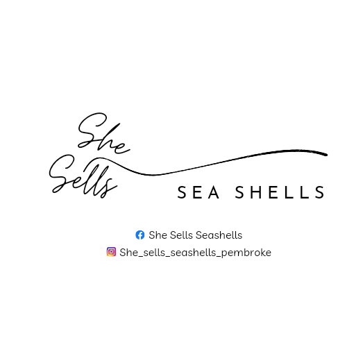 She Sells Seashells 