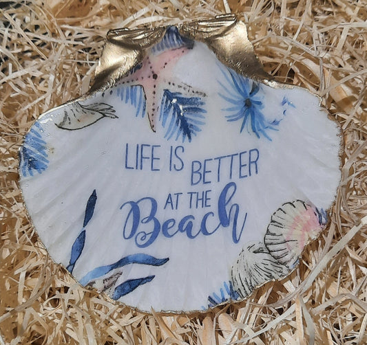 Beach quote design Scallop shell