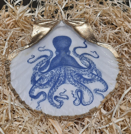 Octopus design Scallop shell