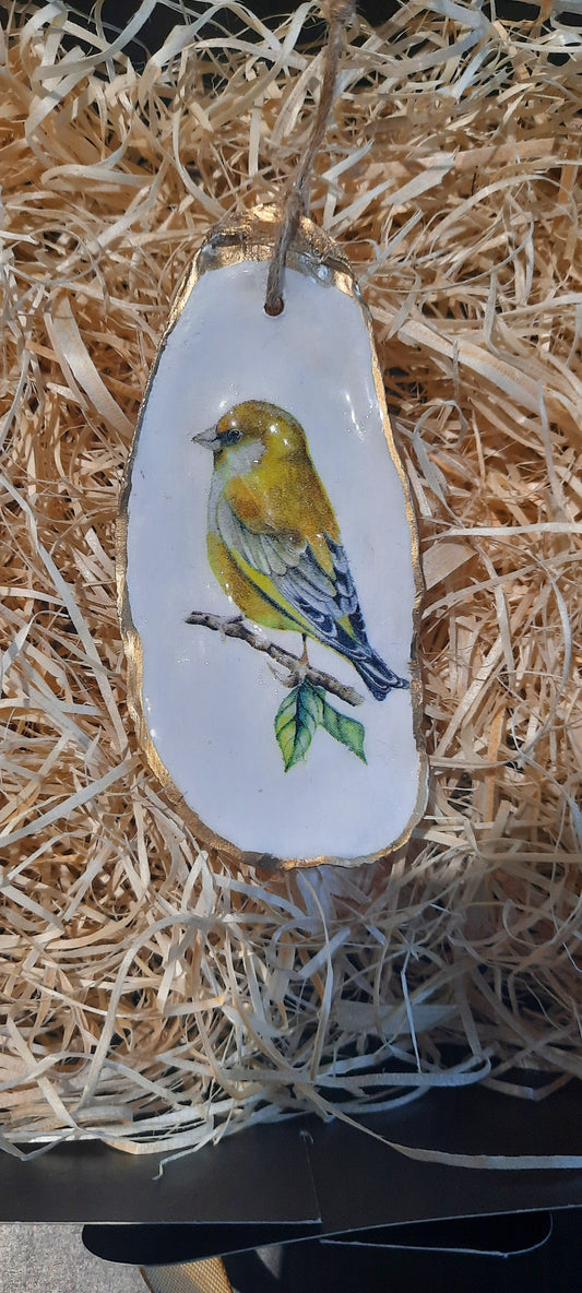Greenfinch Design Oyster Shell