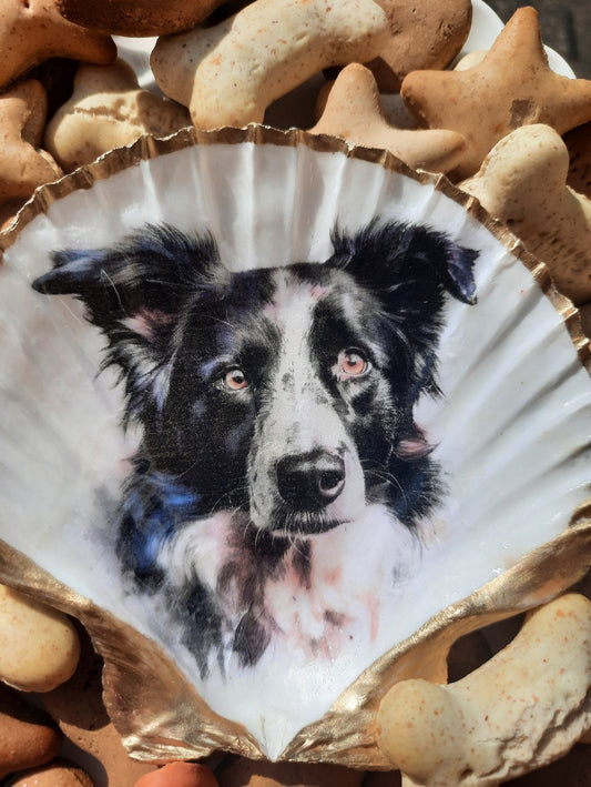 Border Collie design Scallop shell