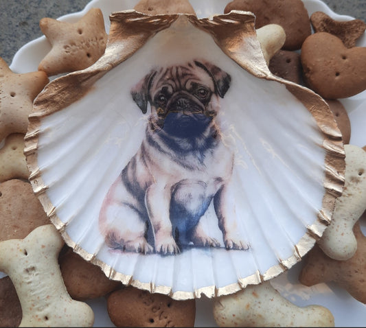 Pug design Scallop shell